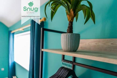a potted plant sitting on a wooden shelf at Oswalds House with Free Parking Ideal for Contractors and Families in Walker Gate