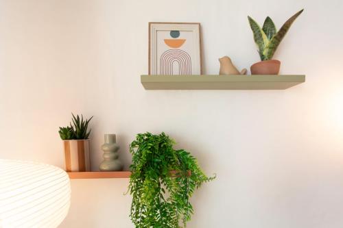 a shelf with potted plants on a wall at A13 - 1 BDR Garden floor Fontonne - AC, Pool & Parking in Antibes
