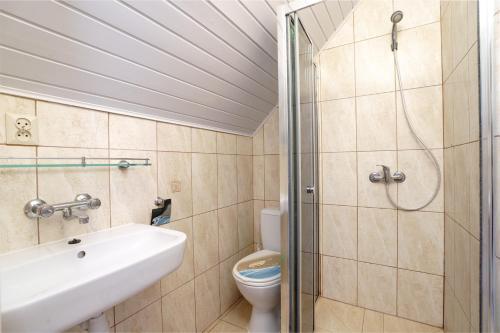 a bathroom with a toilet and a sink and a shower at Willa Karawela in Łeba