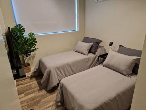 a room with two beds and a potted plant at Premium Apt 2BR 24x7 San Telmo 300 Mb La Galerie in Buenos Aires