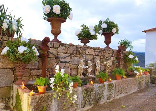 a stone wall with potted plants and candles on it at Hotel Rural Casa dos Viscondes da Varzea in Lamego