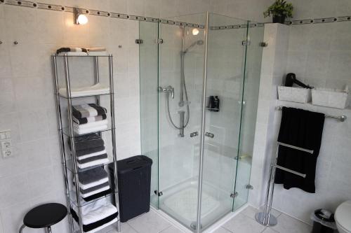 ein Bad mit einer Dusche mit einer Duschkabine aus Glas in der Unterkunft Ferienwohnung Luzia in Nettetal