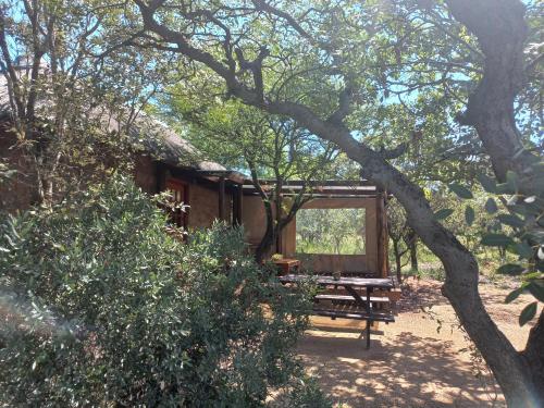 a wooden cabin with a picnic table under a tree at Five Pebbles on Piece of Africa in Cullinan