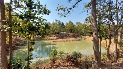 a pond in the middle of a forest at Sobuj Thikana Villa Resort and Jungle camp in Jhārgrām