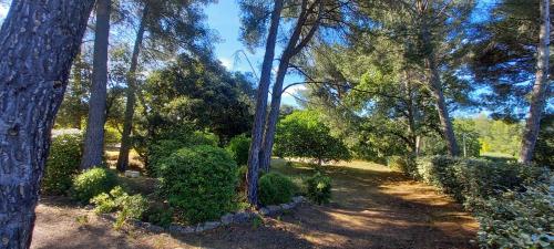Taman di luar Au temps pour vous