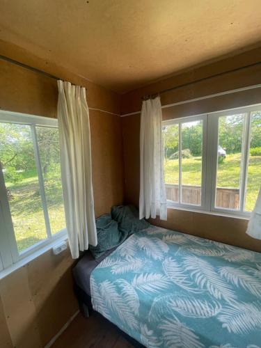 een kleine slaapkamer met een bed en 2 ramen bij Grandma's summer house in Ludza