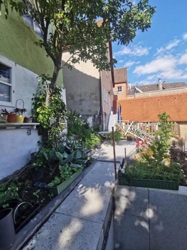 a garden with plants and a tree on a sidewalk at Panoramablick in Langenburg