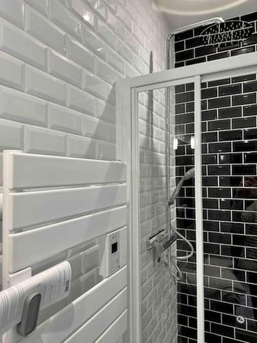 La salle de bains est pourvue d'une douche et d'un mur en briques. dans l'établissement Maison Fitzgerald, à Vichy