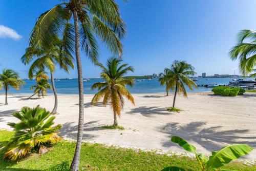 a group of palm trees on a beach at Vue imprenable sur le lagon, appartement 1ch 4p in Baie Nettle