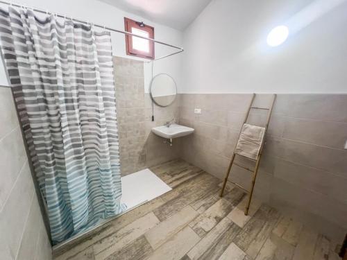 サン・バルトロメにあるVivelorural Abuela María 3, garden & poolの洗面台と鏡付きのシャワーを備えたバスルーム