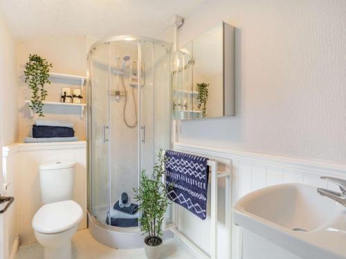 a bathroom with a shower and a toilet and a sink at 2 Bed in Rothbury 87902 in Rothbury