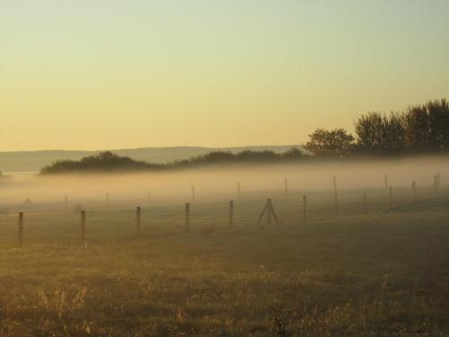 a fence in a field with fog in the background at Hotel Marianne und Restaurant Kiek In in Plau am See