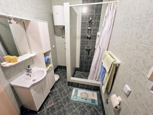 e bagno con doccia, servizi igienici e lavandino. di Apartmani Villa Medići a Vrsi (Verchè)