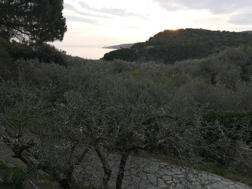 Φυσικό τοπίο κοντά σε αυτή η παραθεριστική κατοικία