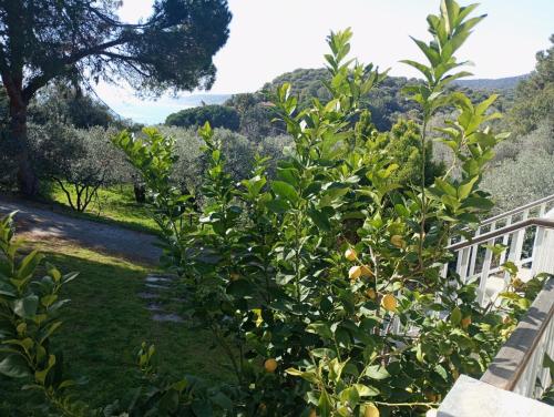 Φυσικό τοπίο κοντά σε αυτή η παραθεριστική κατοικία
