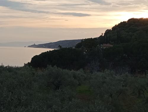 Φυσικό τοπίο κοντά σε αυτή η παραθεριστική κατοικία