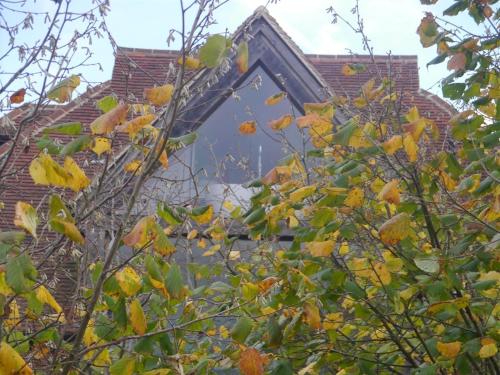 a window on a roof of a building with leaves at Hurst Farm B&B in Crockham Hill