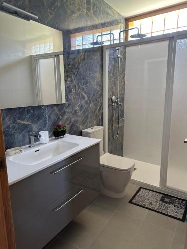 ein Badezimmer mit Waschbecken, Toilette und Dusche in der Unterkunft Casa La Oveja Negra, con Piscina in Padrenda