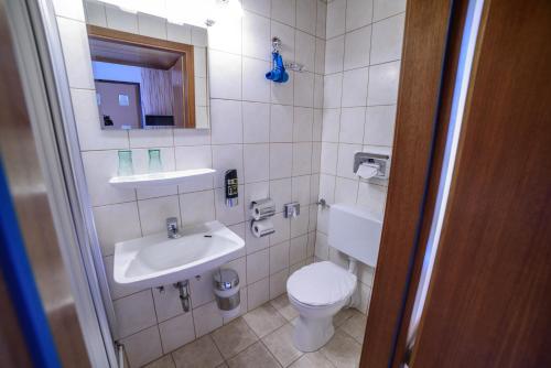 a small bathroom with a toilet and a sink at Pension Arberwald in Bayerisch Eisenstein