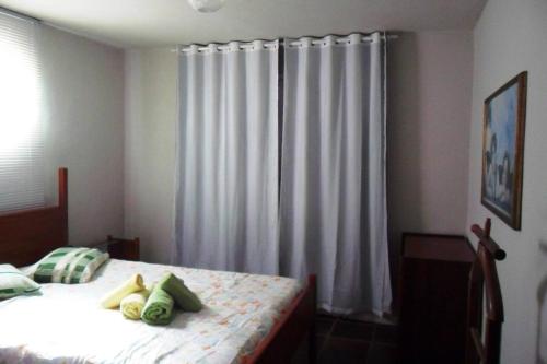 a bedroom with a bed with white drapes at Muqui91 in Teresópolis