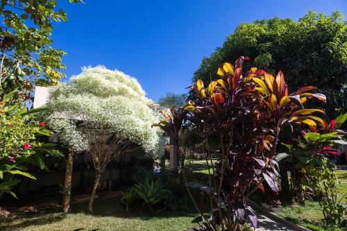 Zahrada ubytování Hotel Pousada das Flores