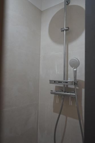 a shower with a shower head in a bathroom at Torra di Ciocce in Pino