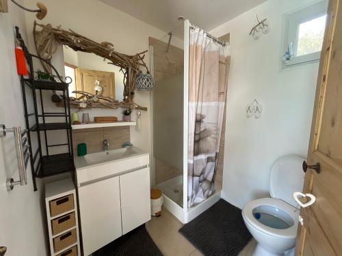 a bathroom with a toilet and a shower at La Thomalie in Crillon-le-Brave