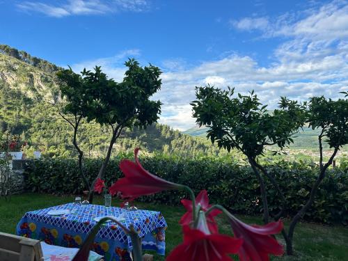 uma mesa com uma toalha de mesa e flores sobre ela em Hotel Villa Edis em Berat