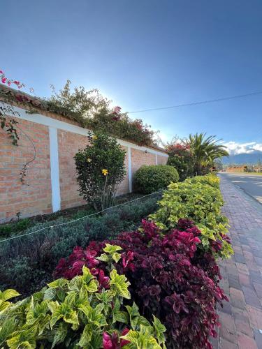 Zahrada ubytování Finca-Hotel Villa Mariana en Boyacá