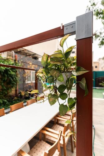 a plant is growing on a railing on a balcony at Suite 3 at Palazzo Seraphim Boutique living in St Julians in St Julian's