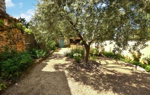 un arbre au milieu d'une allée de gravier dans l'établissement Stunning Home In Villes-Sur-Auzon, à Villes-sur-Auzon