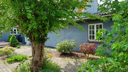 a blue house with a tree in front of it at Room in Ubby (Near Kalundborg) in Kalundborg