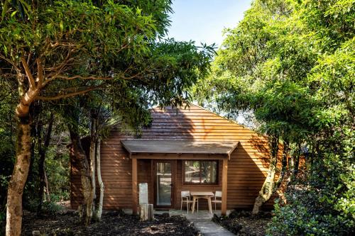 a log cabin in the woods with trees at Alma do Pico - Nature Residence in Madalena