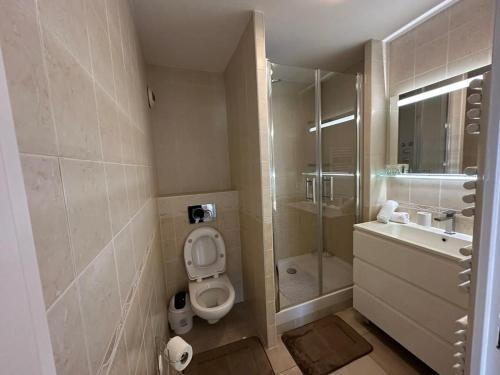 une salle de bain avec toilettes, lavabo et douche dans l'établissement C058 Bel appartement spacieux terrasse Centre, à Cannes