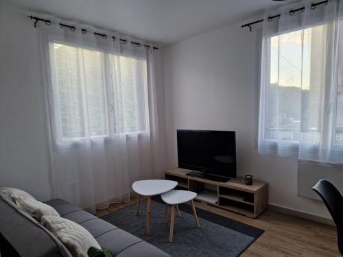 - un salon avec un canapé, une télévision et 2 fenêtres dans l'établissement 
