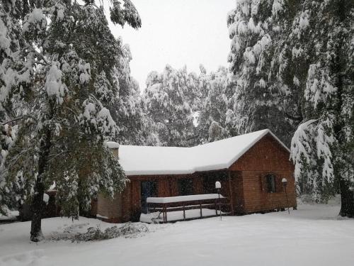 Gallery image of Cabaña en Termas de Chillán in Pinto