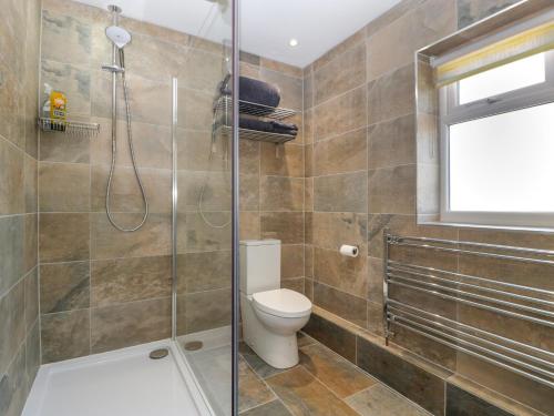 a bathroom with a toilet and a shower at Harvest Moon Cottage in Bishops Frome