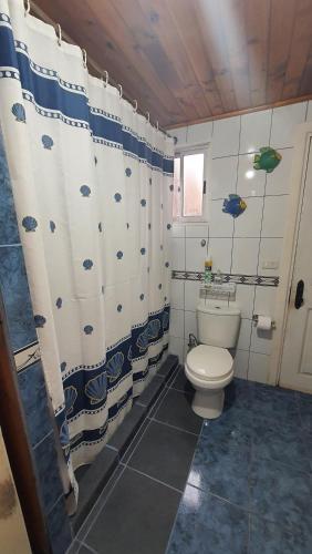 łazienka z toaletą i zasłoną prysznicową w obiekcie CASA DE HUÉSPEDES JEM w mieście Bucalemu
