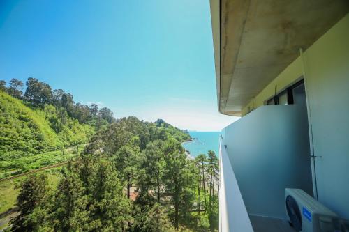 a view of the ocean from a train at Bamboo Beach Cixisdziri in Tsikhisdziri