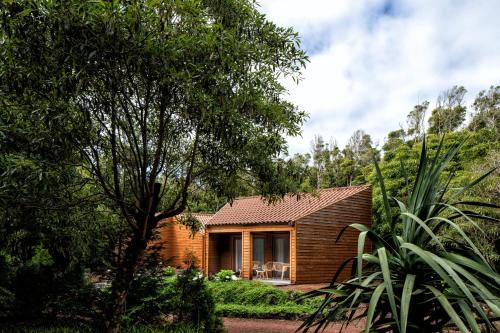 a small house in the middle of a forest at Alma do Pico - Nature Residence in Madalena