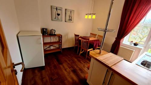 a kitchen with a refrigerator and a table with chairs at Penzion Valkoun-Lilienfeld in Karlovy Vary