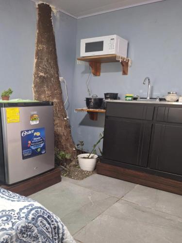 a kitchen with a refrigerator and a microwave at Torito's room in Carrillo