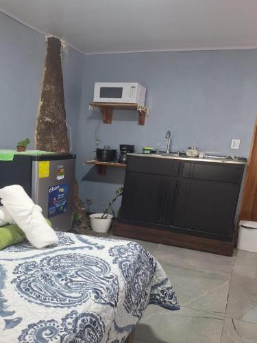 a bedroom with a bed and a microwave on the wall at Torito's room in Carrillo