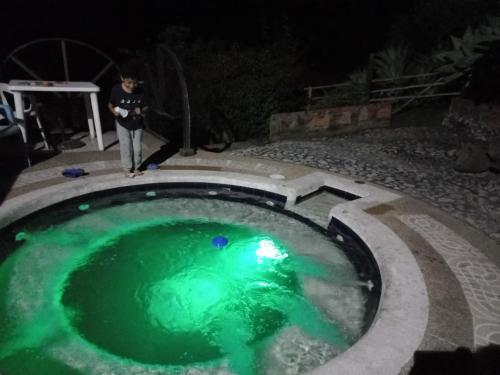 Kolam renang di atau dekat dengan Shalom