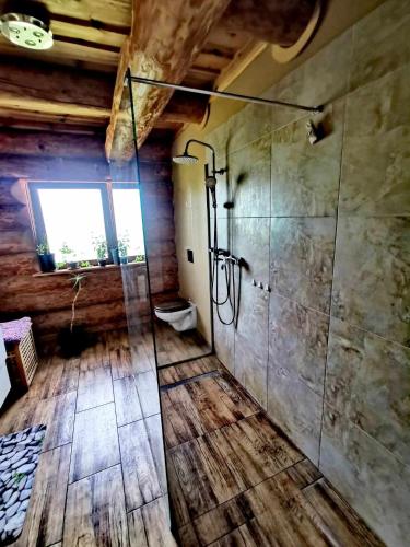 a bathroom with a shower with a glass door at Klimatyczny dom z bali in Powidz