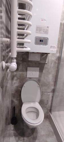 a bathroom with a white toilet in a stall at City Center Apartment 45m, 1 Bedroom and 1 Living Room with Kitchen plus Bathroom, a perfect Family Friendly Place or for Home Office and a longer Stay, a proper office desk with business chair provided, 100m from Market Square and Vistula River in Grudziądz