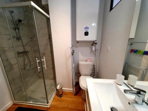 une salle de bain avec une douche, des toilettes et un lavabo dans l'établissement LE REVE BLEU I Neuf I Parking gratuit I Proche Mer I Wifi haut débit, à Saint-Brieuc