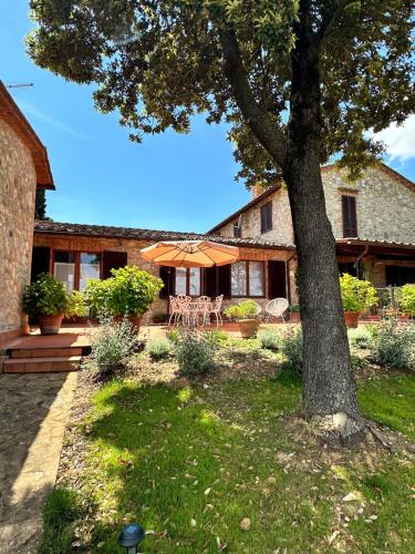 una casa con un árbol en el patio en Casa il Cipresso, en Castelnuovo Berardenga