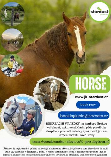 a flyer for a horse show with a picture of a horse at City Center Apartments - Moderna Brno Římské náměstí V in Brno
