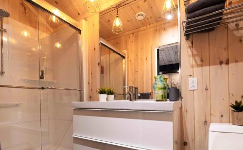 a bathroom with a sink and a shower at Le Versant Mont-Sainte-Anne in Saint-Férréol-les-Neiges
